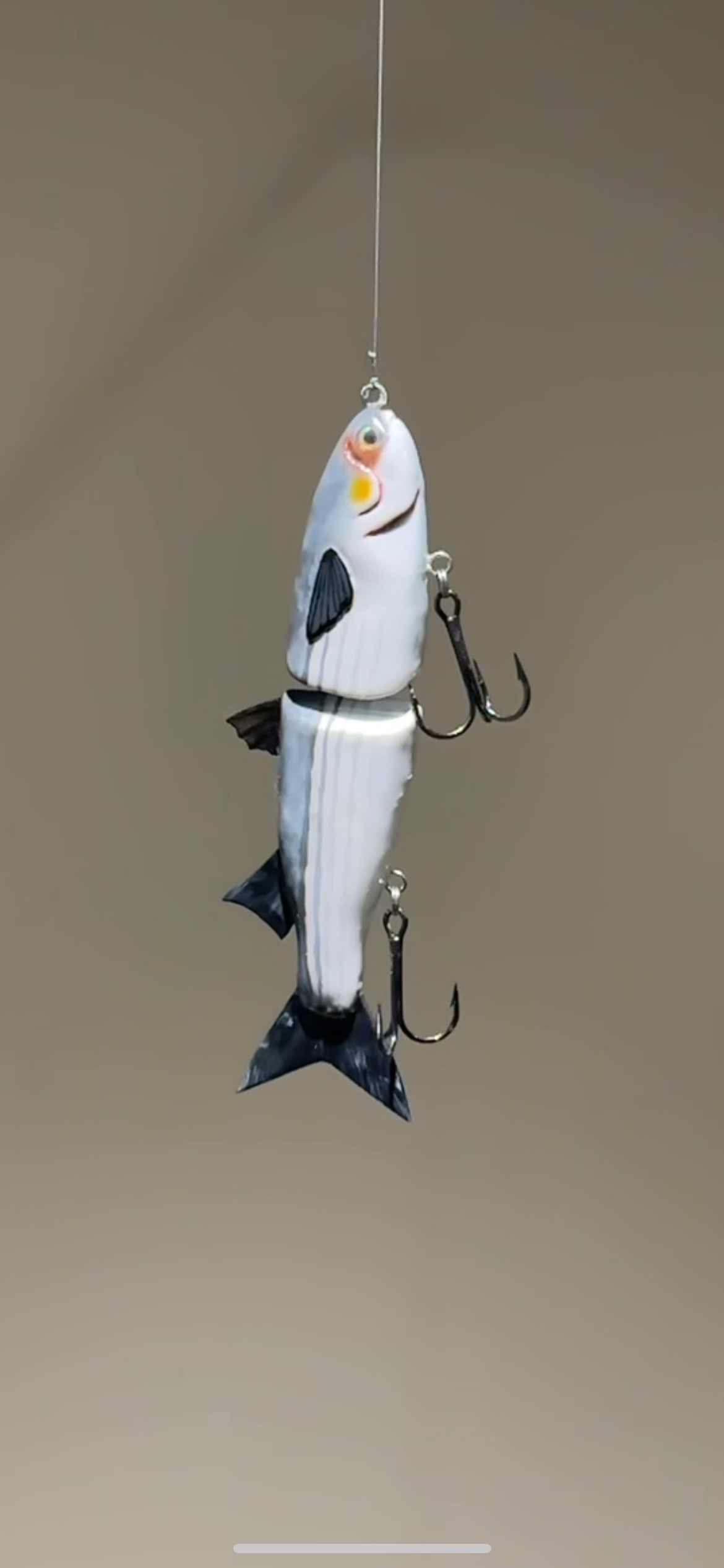 LF MULLET 6in