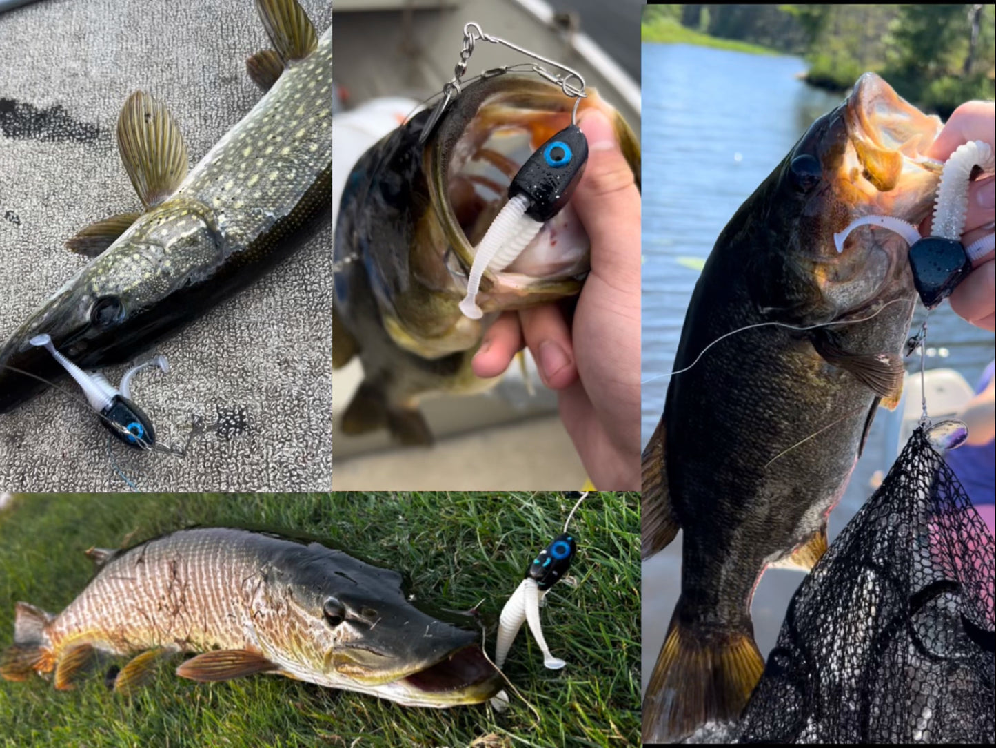 Lure Factory Triple Tail Spinnerbait Kit
